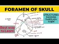 Foramen of Skull | Structures passing through them | Neuroanatomy