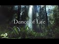 Dance of Life - Available Now! - Soothing Relaxation Dance of Life - Available Now!
