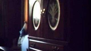 Dreams-Diana Degarmo