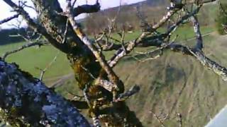 MPX MiniMag Crash - Mein Freund, der Baum