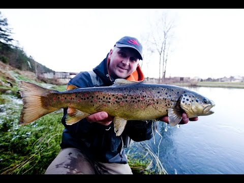 Gacka river winter flyfishing