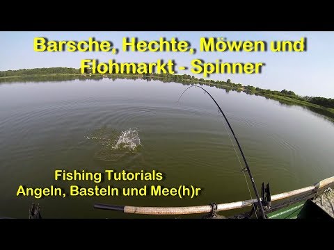 Barsche, Hechte, Möwen und Flohmarkt Spinner