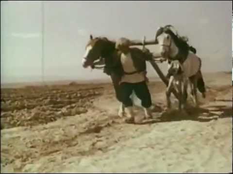 Aygytly Adim - Aynam