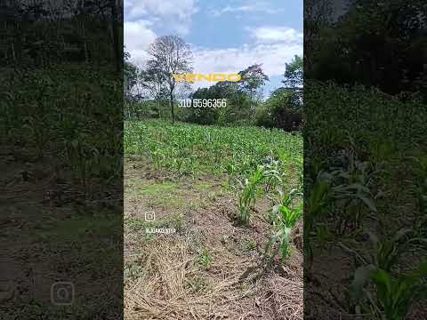 Hermosa Parcela en Venta en Santander valle de san jose