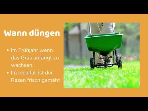 Rasen richtig düngen - Wann, womit, wie oft