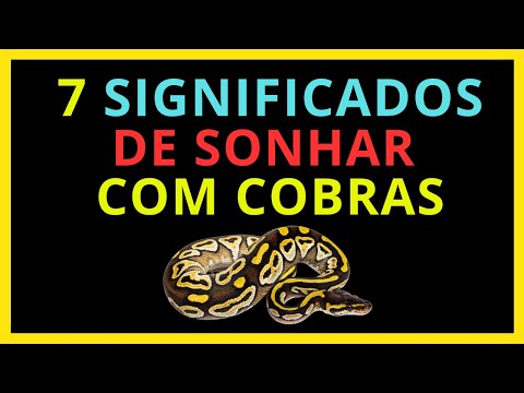7 SIGNIFICADOS DE SONHAR COM COBRAS - DESCUBRA JÁ!