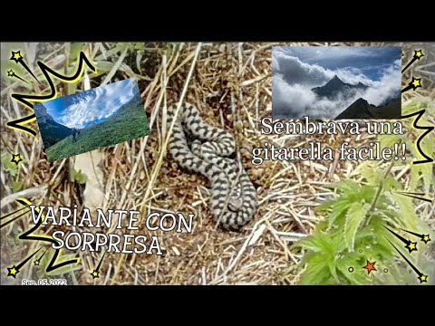 Lago Alberghi e Frisson con variante "balcone" su monte Colombo 3 settembre 2022 da Palanfre'