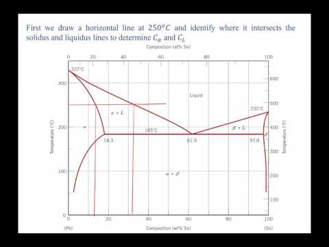 Phase Diagrams and Lever Rule example problem