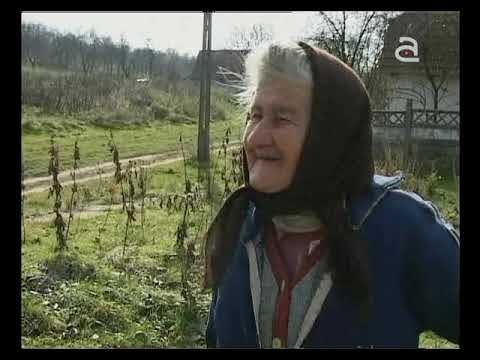 Navetistul Banatean - Salciua