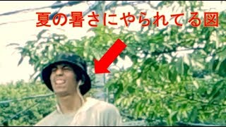 [ロボットダンス]YouTubeオーディオライブラリで踊ってみた[Seven Twenty]