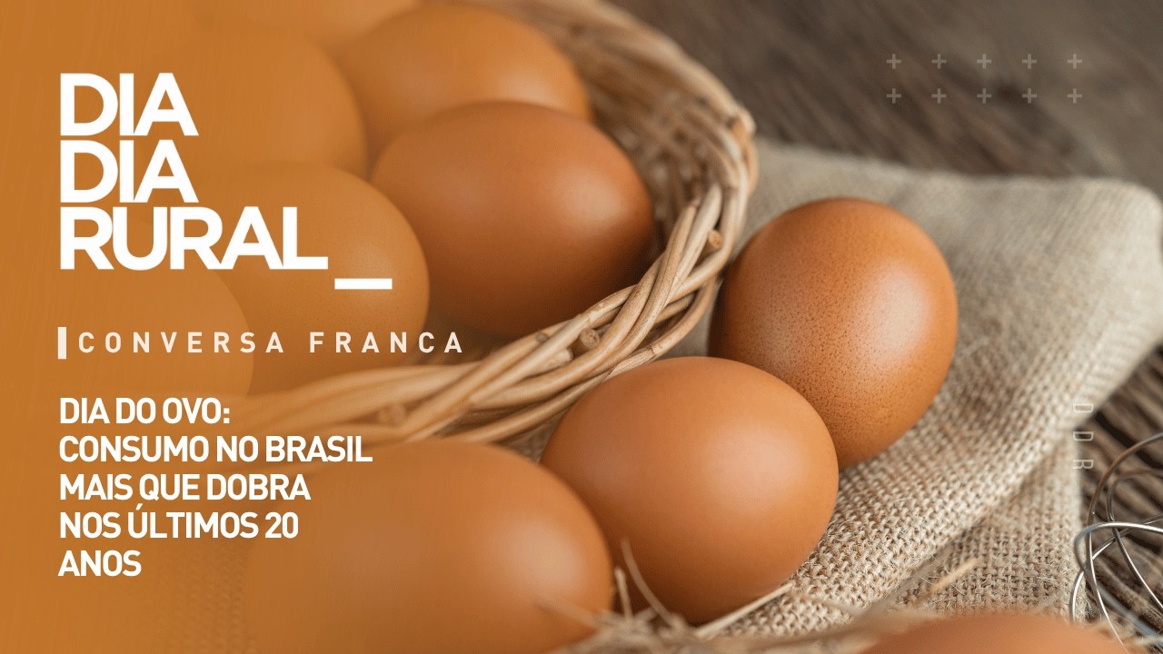 Dia do Ovo: consumo no Brasil mais que dobra nos últimos 20 anos