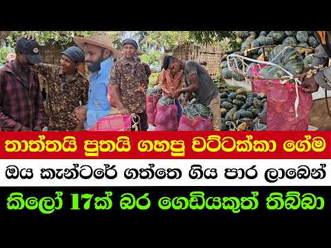 Father & Son Bought a Canter in Just 2 Months!