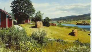 nordman- då syns du inte mer