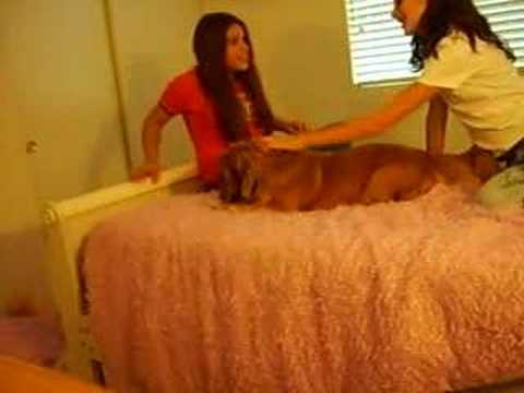 Hvideos: Mystery Pusher