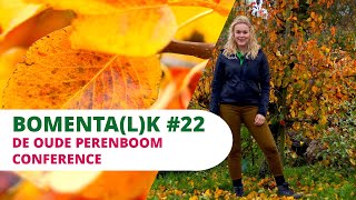 Oude perenboom 'Conference' video