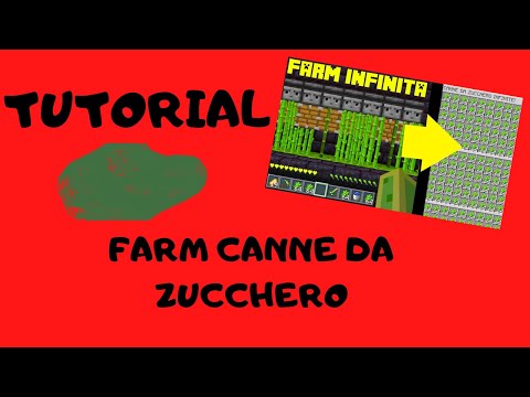 TUTORIAL FARM CANNE DA ZUCCHERO E DI CACTUS