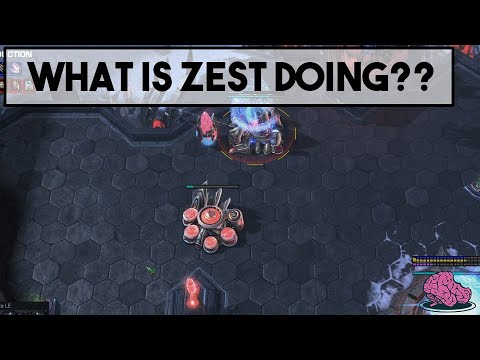 What Is Zest Doing??