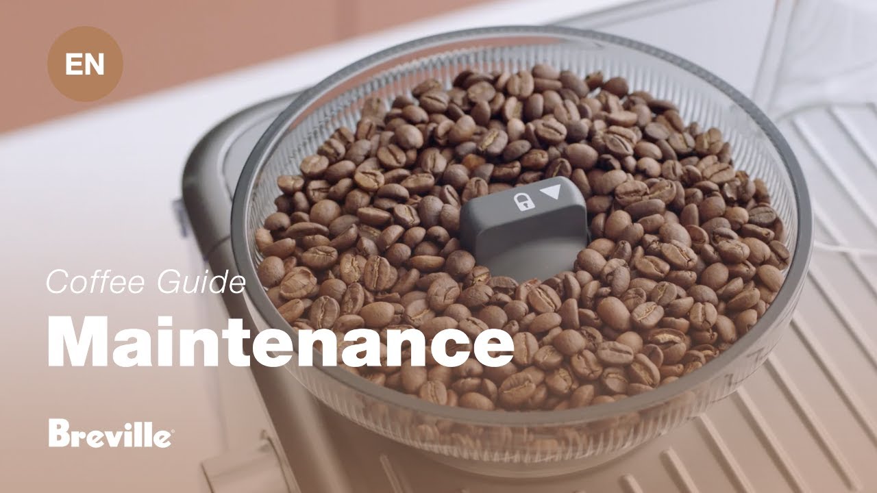 How to clean grinder conical burrs