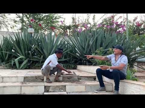 PI TOCA PRA TIRINGA 😂😂 | COMÉDIA SELVAGEM ®