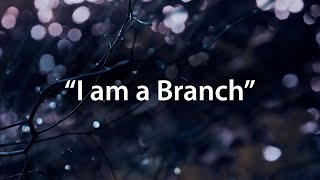 I am a Branch