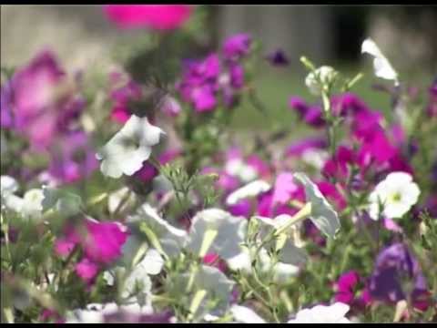 Sonya Philip-Uită-te bade la mine