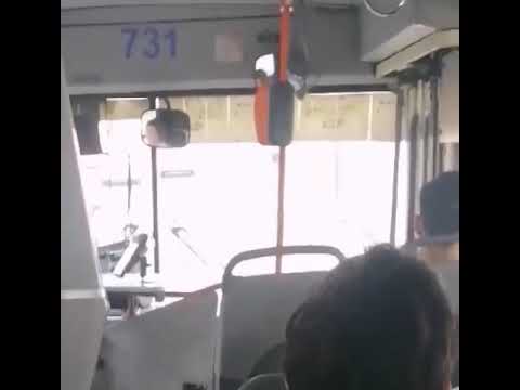 žena vozi autobus- woman drive bus - @cislatrans1842
