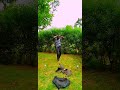 DJ AFRO LATEST KIHINDI MOVIES Dj Afro Kemoda Dj Afro Komando Dj Afro Prohbus Dj Afro Tiger Shroof