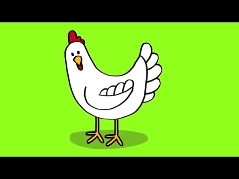 comment colorier une poule