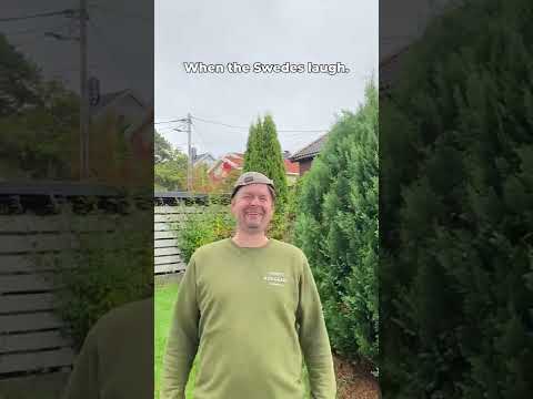 When Norwegians, Swedes, Danes and Finns laugh