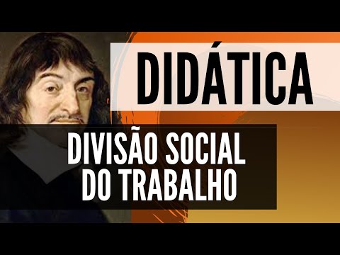 DIVISÃO SOCIAL DO TRABALHO - DIDÁTICA 04