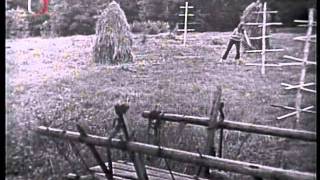 Bukanýři-ej za lužický polo Bukanýři-ej za lužický polo