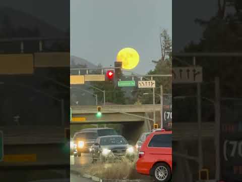 Impresionante como se mira la luna en esta tarde #usa #mexico #viral #viralreels #luna