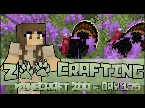 Turkey Rescue Mission!! 🐘 Zoo Crafting:  Season 2 - Episode #175
