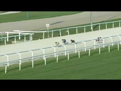 2017.08.20. 10. futam - Agár