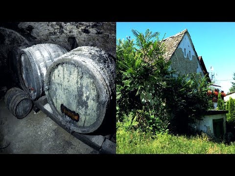 Elhagyatva Magyarországon 143. - Takaros kis présház a Balatonnál