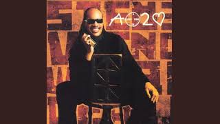 Shelter in the Rain - Stevie Wonder