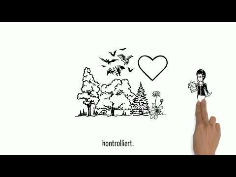 Lohwaldfakten #7 - Wann darf in einem Bannwald gerodet werden?