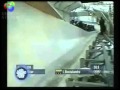 Une Grosse Loutre Sur Une Luge