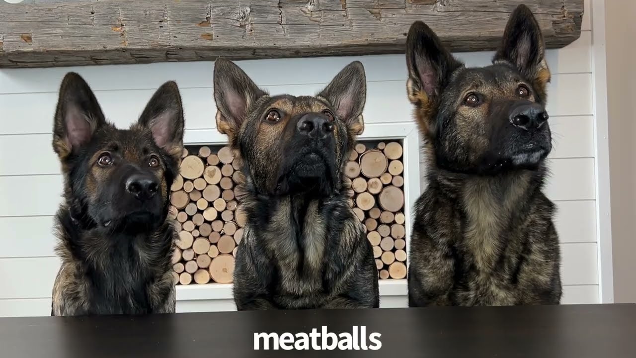 YouTube video preview