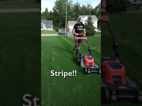 Lawn Striping Like A PRO With A Push Mower #lawncare #lawnstripes #grass