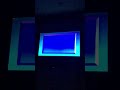 Opening To Scholastic S The Magic School Bus Gets Ants In Pants 2000 VHS