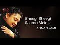 Bheegi Bheegi Raaton Mein - Adnan Sami