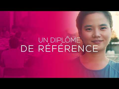 Le Programme Grande École de SKEMA Business School