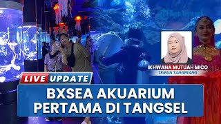 Aksi Pukul Bedug dan Syawal Dance di Dalam Air BXSea, Akuarium Pertama di Kota Tangerang Selatan