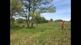 &quot;Rare Plant Communities in Ontario&quot; Wasyl Bakowsky