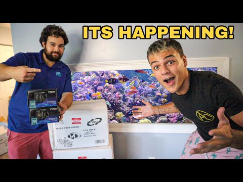 Building My FIRST SALTWATER REEF AQUARIUM!! (part 1)