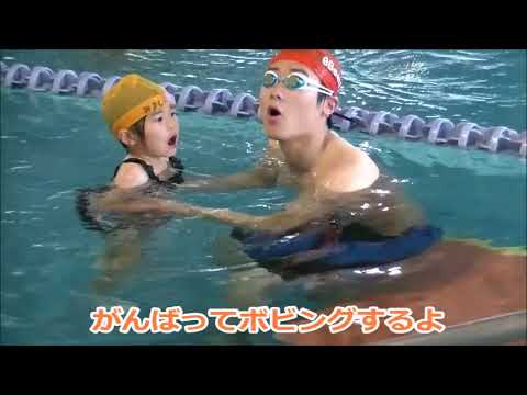 園芸 スイミングプールビーチ