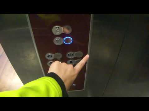 Amazing Kone KSS D20 EcoSpace MRL Traction Elevator @ Sport Chek, West Edmonton Mall - Edmonton, AB
