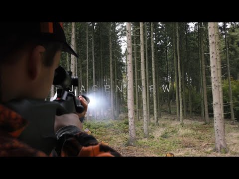 Drückjagd 2019 - Die erste Jagd der Saison im Oktober - jagenNRW story #14