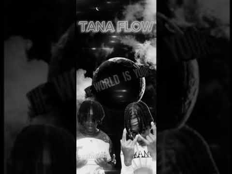 Meezy- Tana Flow/Intro